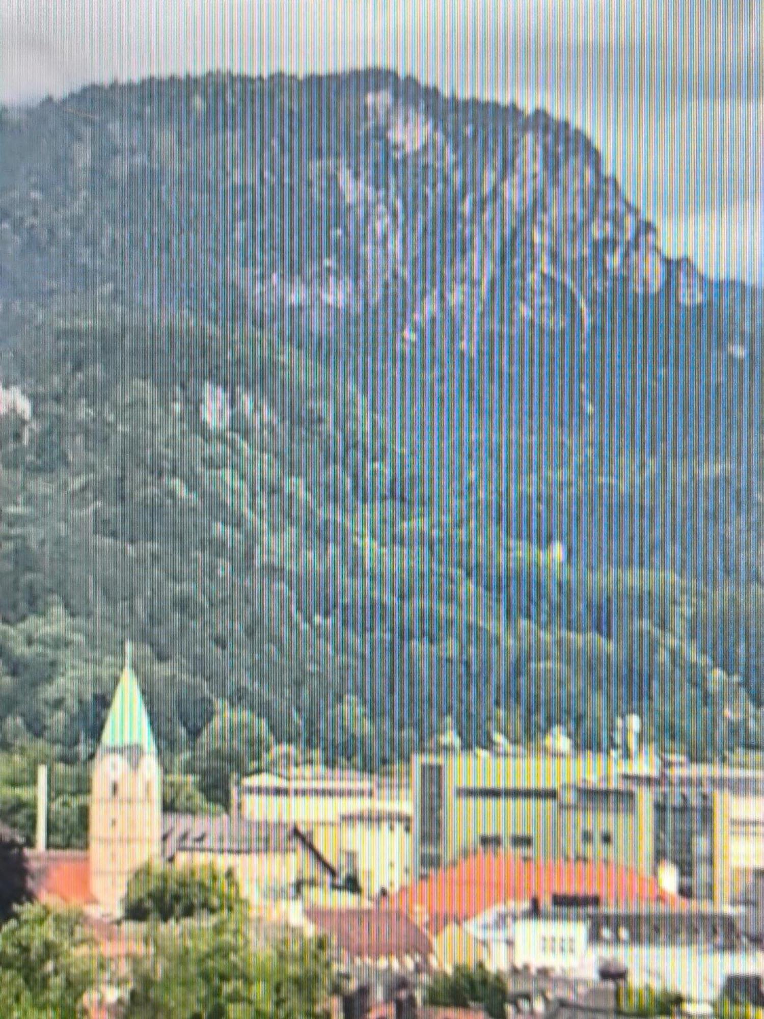 バートライヘンハルPanoramahaus 6140アパートメント エクステリア 写真